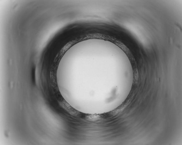 X0000099320189200805020801