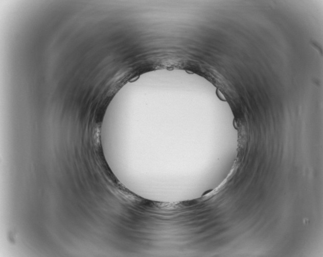 X0000099320191200805020801