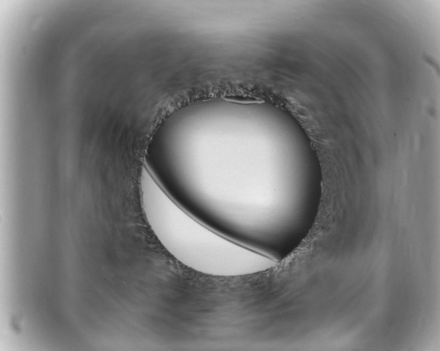 X0000099320192200805020801