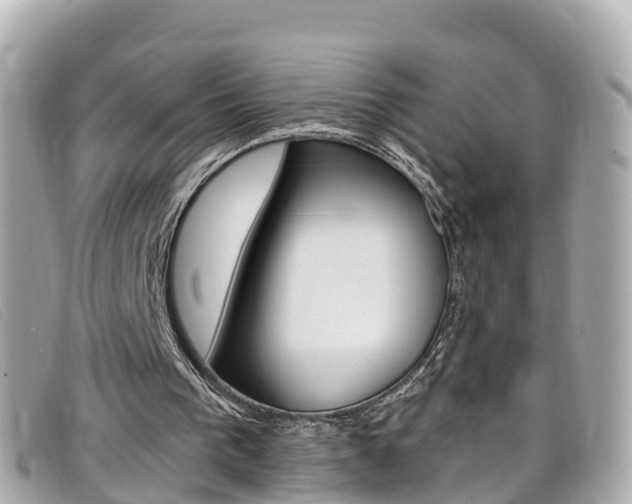 X0000099320193200805020800