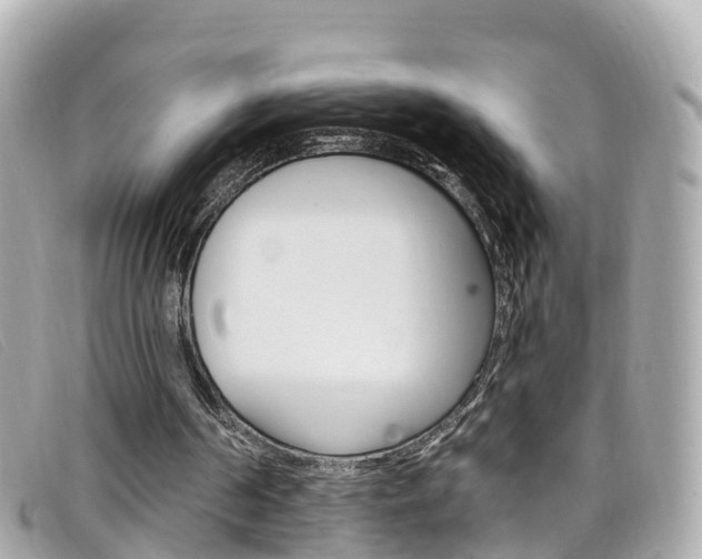 X0000099320194200805020800