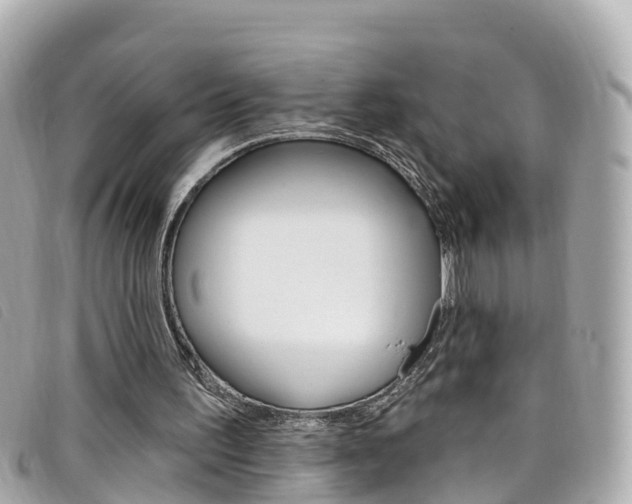 X0000099320195200805020800