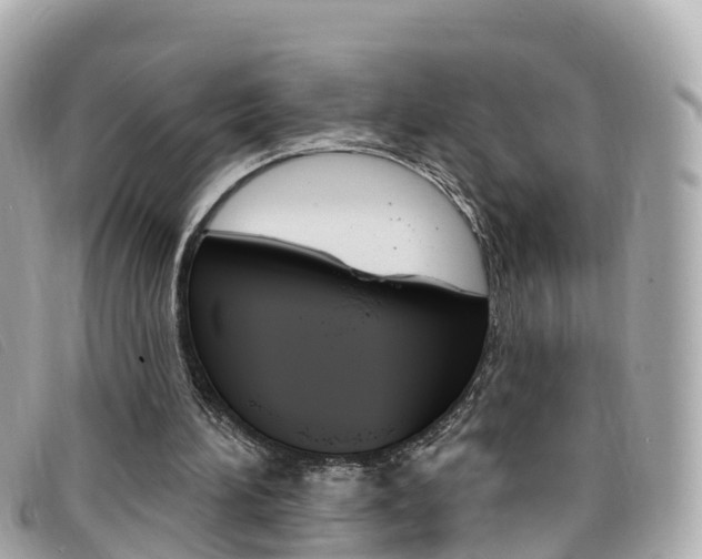 X0000099320196200805020800