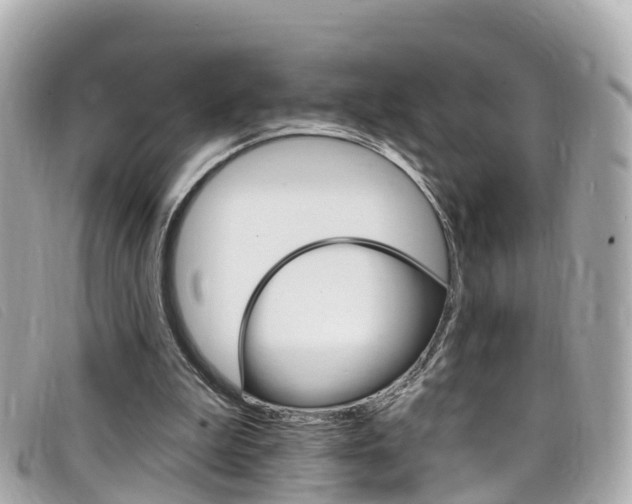 X0000099320199200805020800