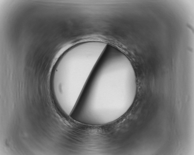 X0000099320200200805020800