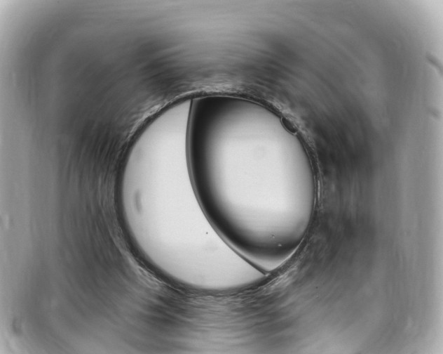 X0000099320201200805020800