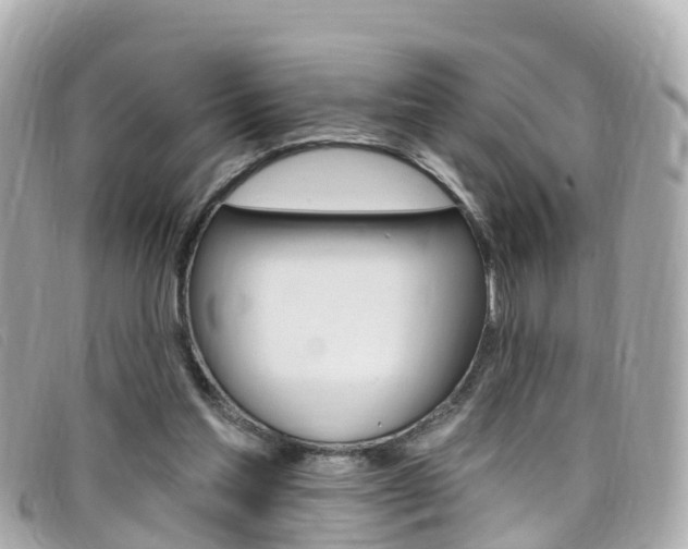 X0000099320205200805020800