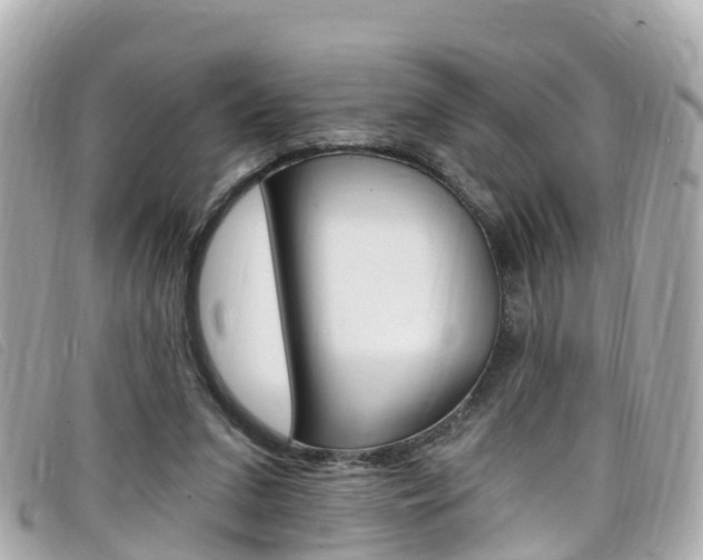 X0000099320207200805020800