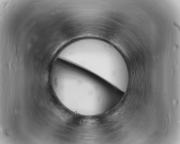 X0000099320208200805020800