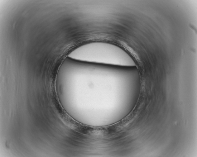 X0000099320209200805020800