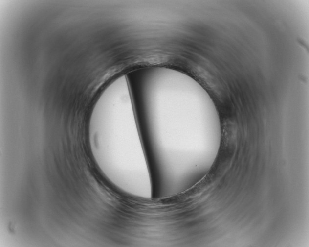 X0000099320212200805020800