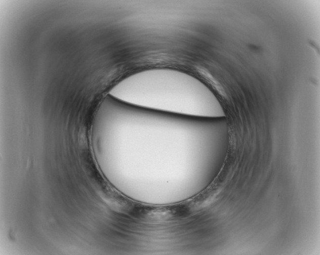 X0000099320213200805020800