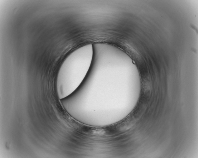 X0000099320214200805020800