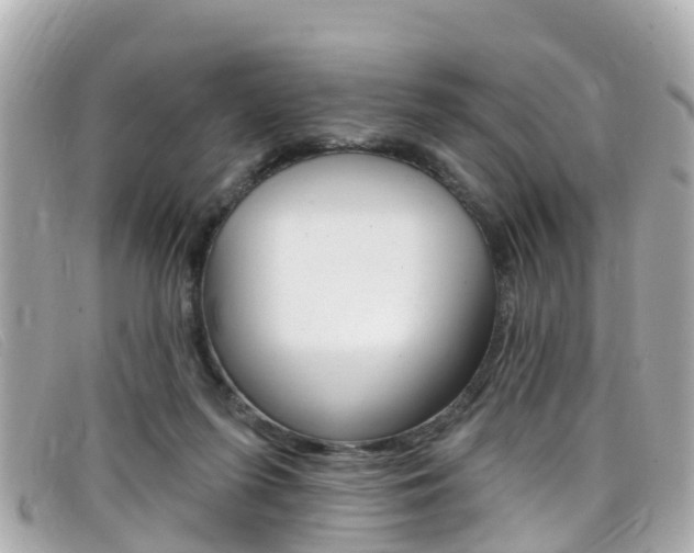 X0000099320215200805020800
