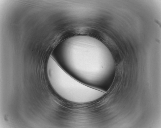 X0000099320217200805020800
