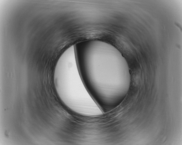 X0000099320219200805020800