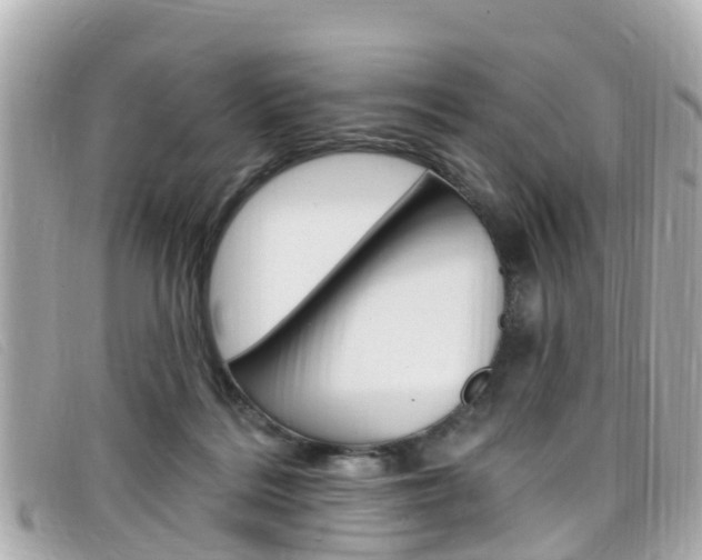 X0000099320220200805020800