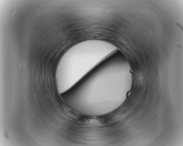 X0000099320224200805020800