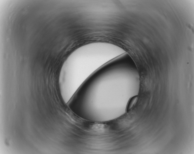 X0000099320227200805020800