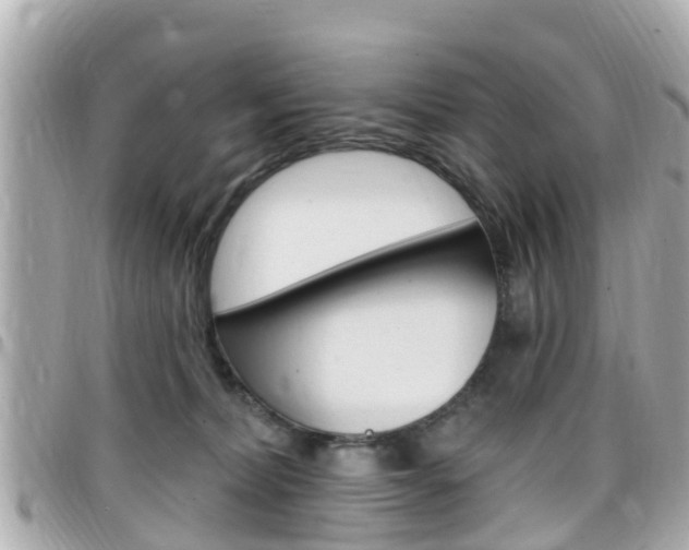 X0000099320228200805020800