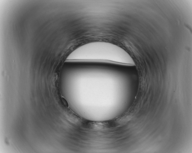 X0000099320229200805020800