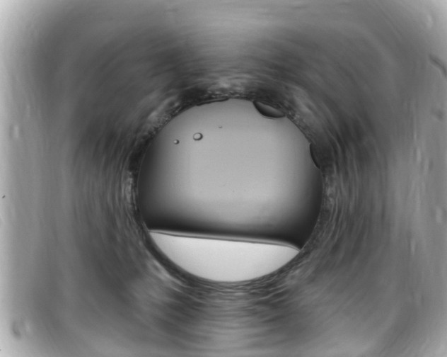 X0000099320231200805020800