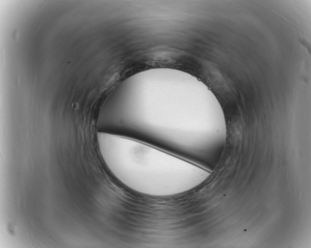 X0000099320232200805020800