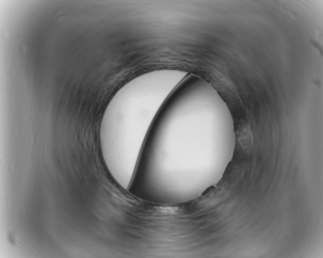 X0000099320233200805020800