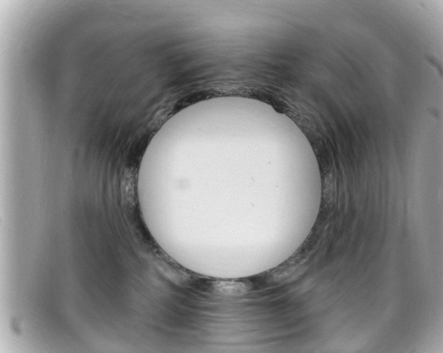 X0000099320234200805020800