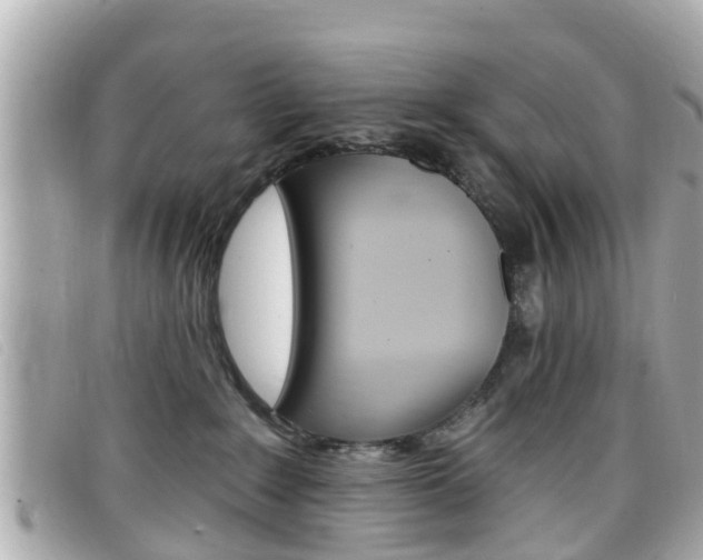 X0000099320235200805020800