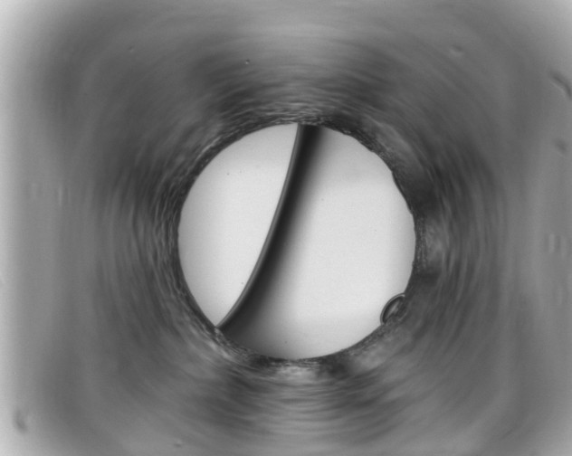 X0000099320236200805020800