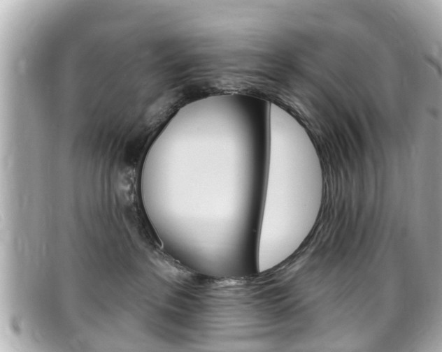 X0000099320237200805020800