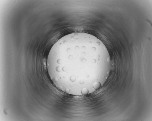 X0000099320238200805020800