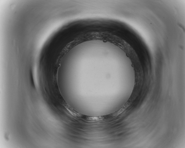 X0000099320239200805020800
