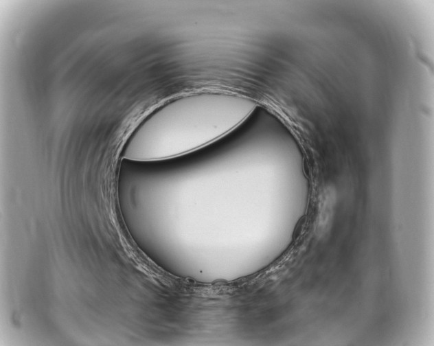 X0000099320241200805020759