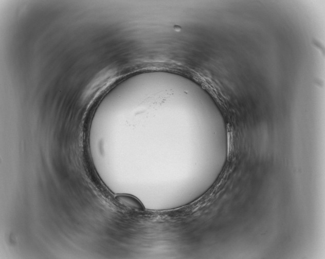 X0000099320243200805020759