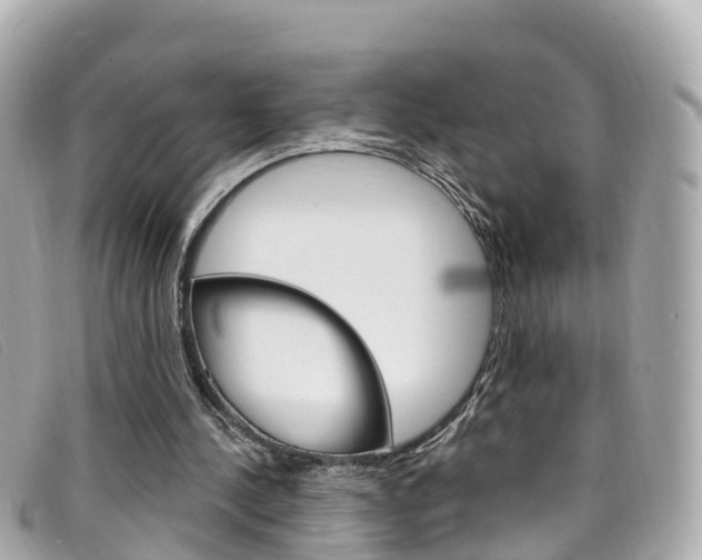 X0000099320244200805020759