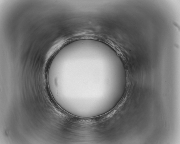X0000099320245200805020759