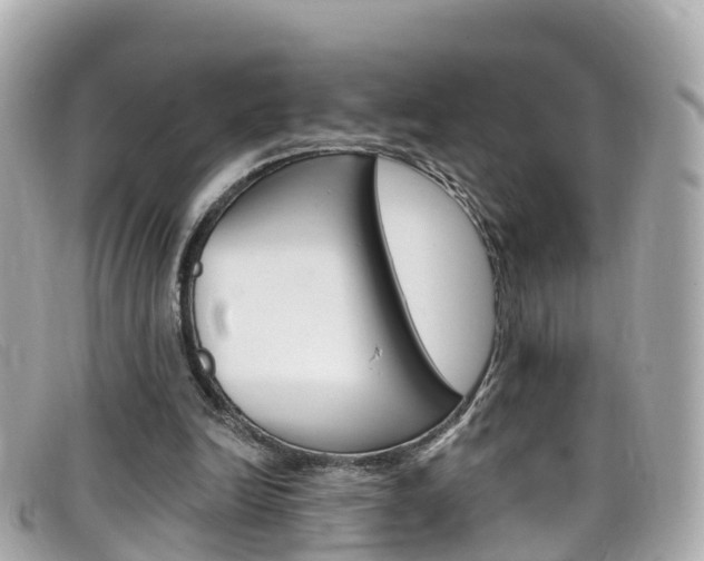 X0000099320246200805020759