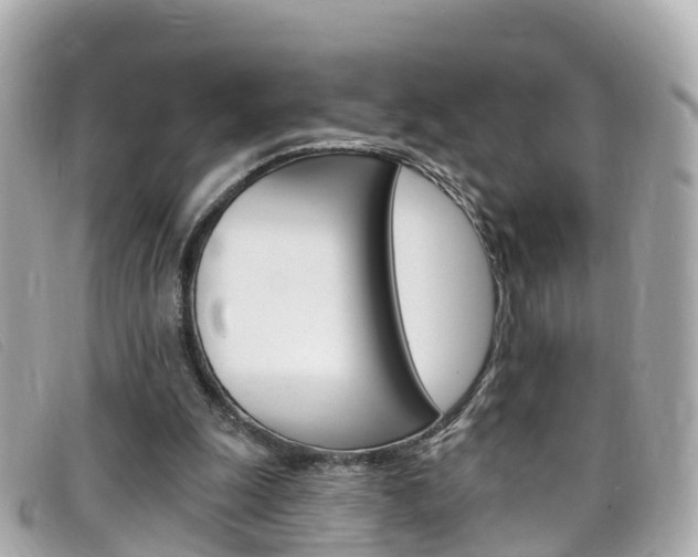 X0000099320247200805020759