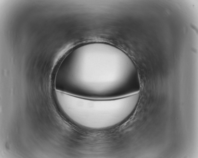 X0000099320248200805020759