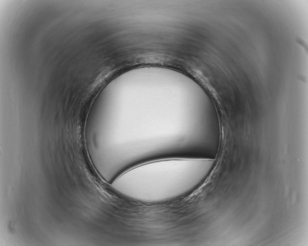 X0000099320249200805020759