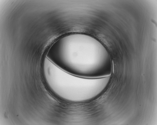 X0000099320252200805020759