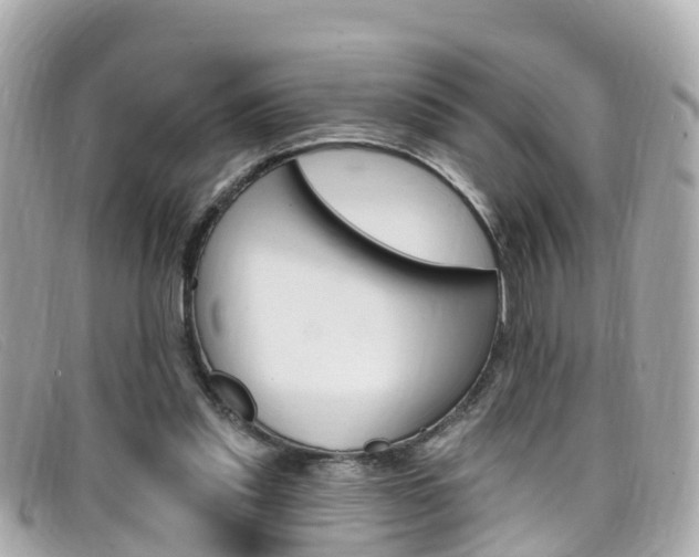 X0000099320253200805020759