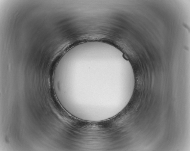 X0000099320254200805020759