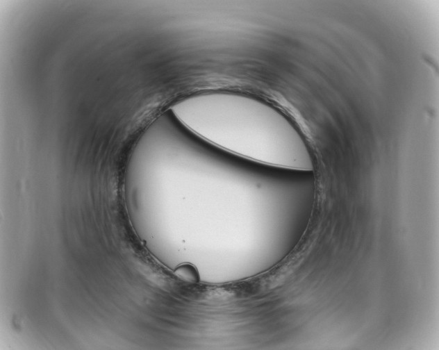 X0000099320257200805020759