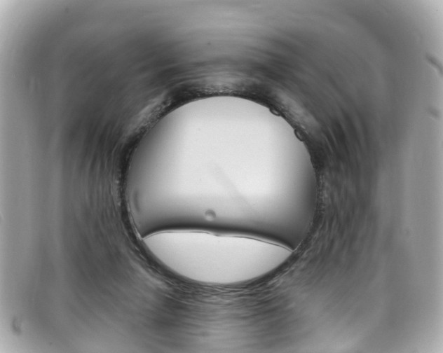 X0000099320258200805020759