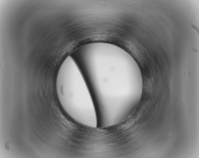 X0000099320261200805020759