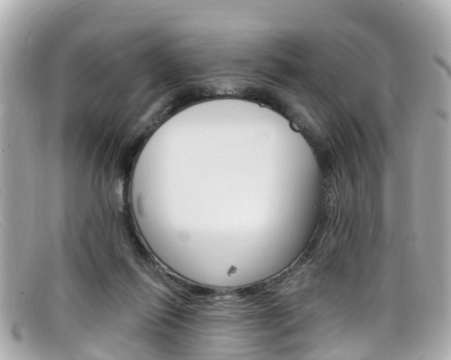 X0000099320262200805020759