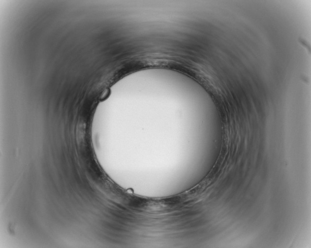 X0000099320263200805020759